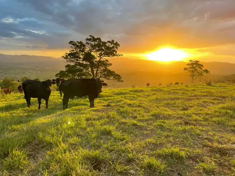Second view of Homely house listing, 181 Ocean View Road, Ocean View QLD 4521