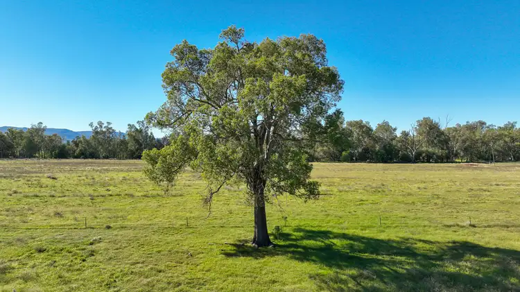 Second view of Homely rural property listing, 340 Black Mountain Creek Road, Boggabri NSW 2382