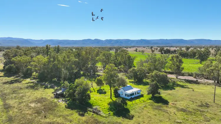 Seventh view of Homely rural property listing, 340 Black Mountain Creek Road, Boggabri NSW 2382