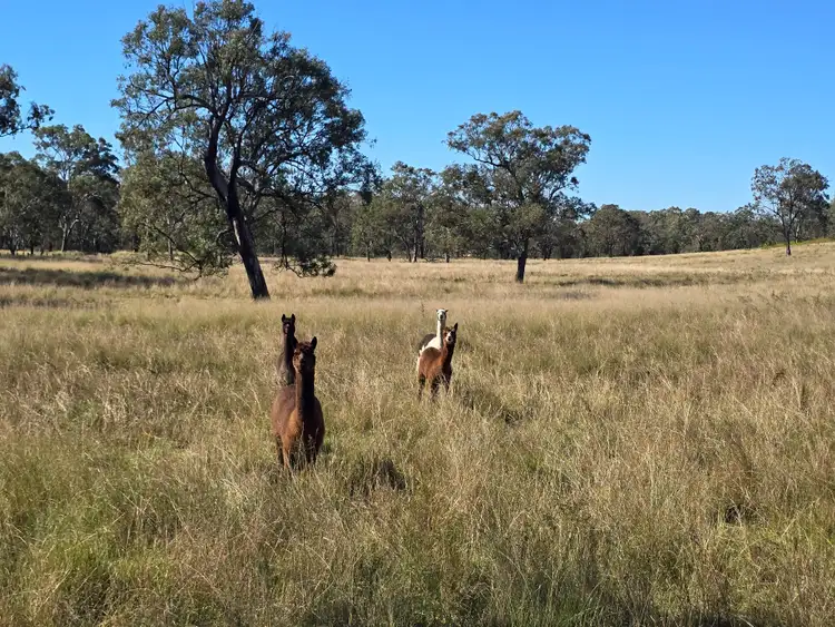 Second view of Homely rural property listing, 330 Emu Creek Road, Emu Creek QLD 4355