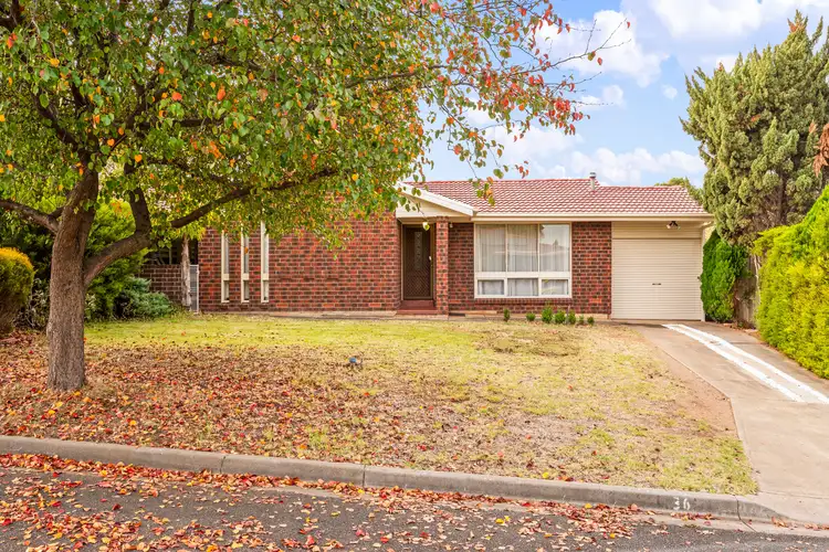36 Dillon Street, Redwood Park SA 5097