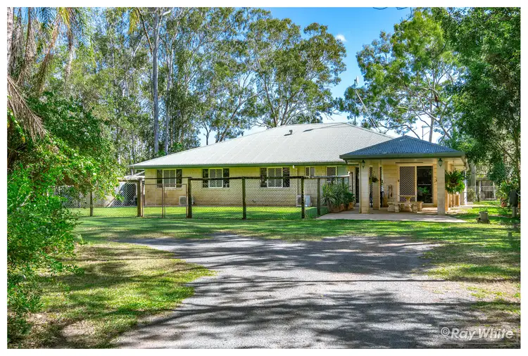Main view of Homely house listing, 39 Lindleys Road, Etna Creek QLD 4702