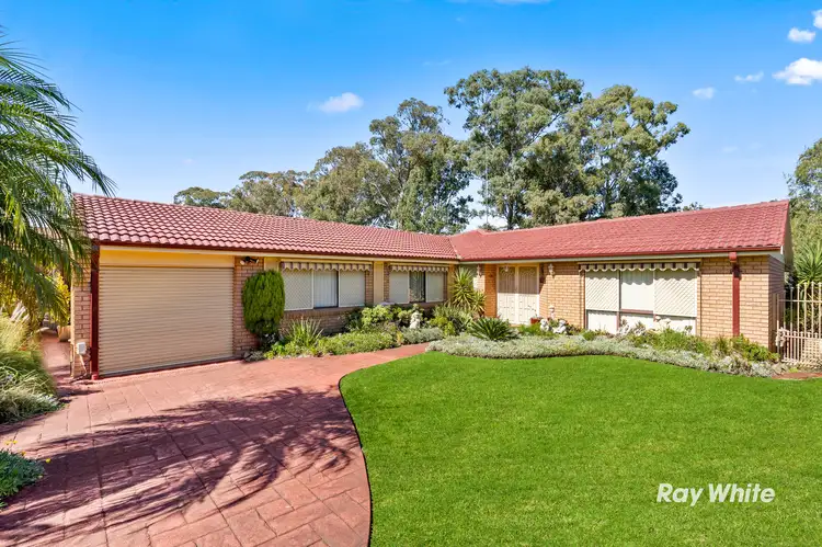 Main view of Homely house listing, 19 Sherridon Crescent, Quakers Hill NSW 2763