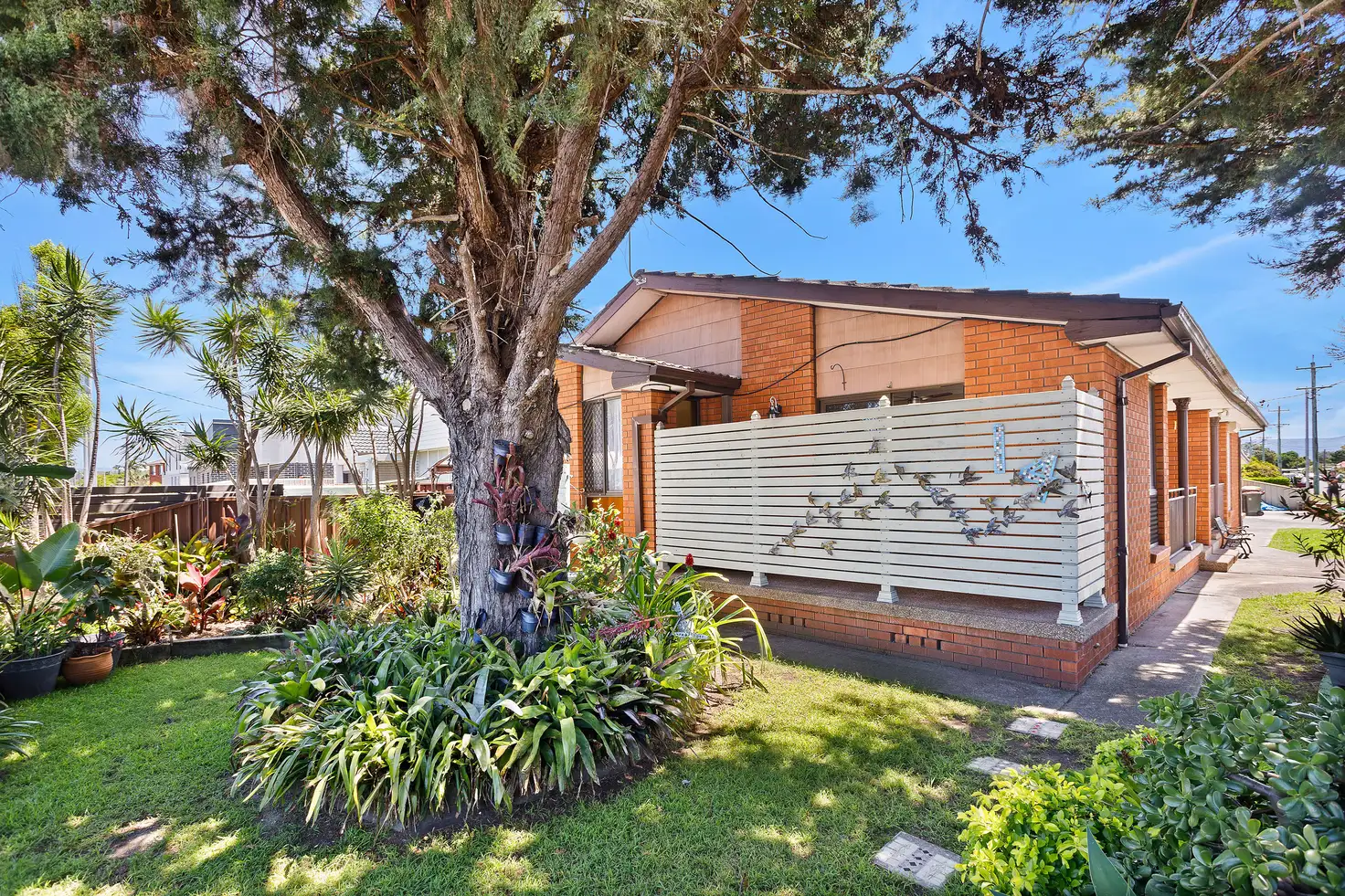 Main view of Homely unit listing, 1/14 Shellharbour Road, Lake Illawarra NSW 2528