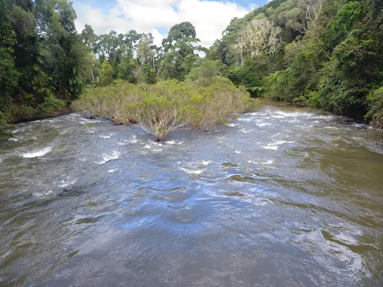 RN928 Glen Allyn Road, Malanda QLD 4885