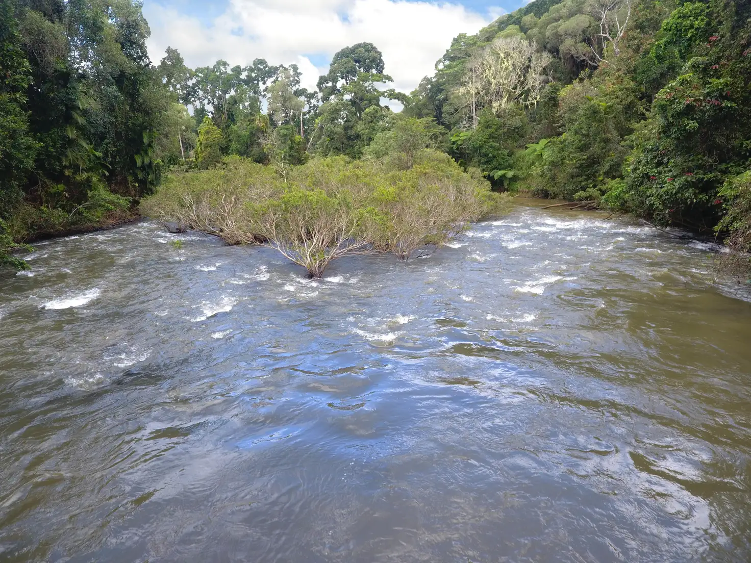 Main view of Homely rural property listing, RN928 Glen Allyn Road, Malanda QLD 4885