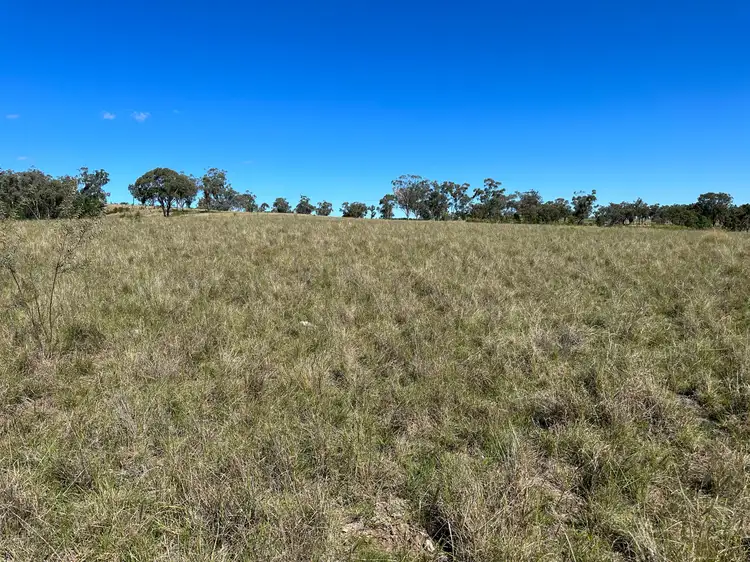 Sixth view of Homely rural property listing, "Longview" 135 Burundah Drive, Warialda NSW 2402