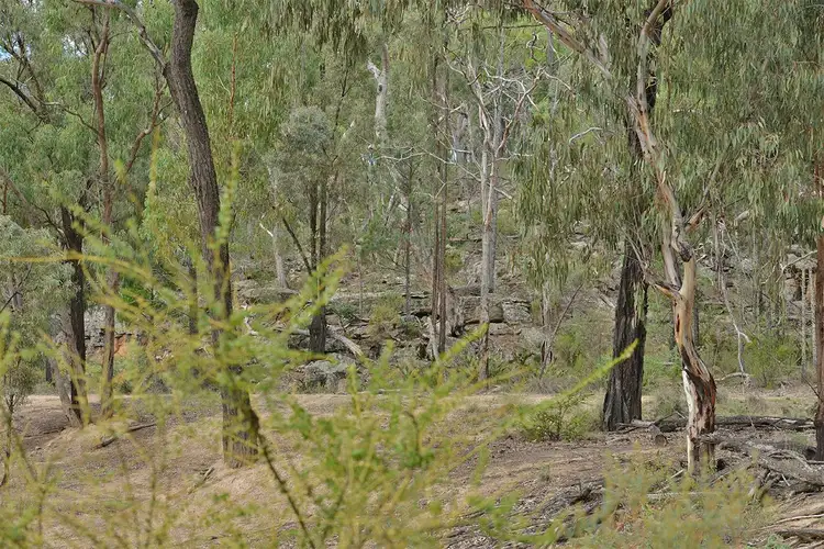 Main view of Homely rural property listing, 285 SALAKS Road, Coonabarabran NSW 2357