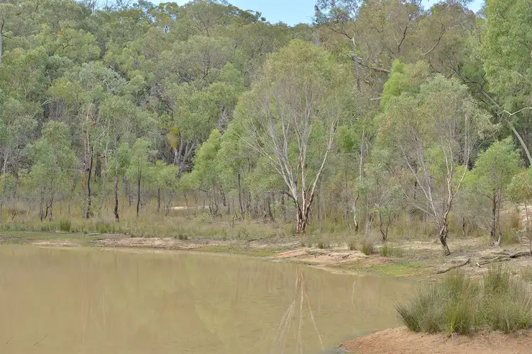 Fifth view of Homely rural property listing, 285 SALAKS Road, Coonabarabran NSW 2357