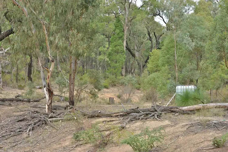 Sixth view of Homely rural property listing, 285 SALAKS Road, Coonabarabran NSW 2357