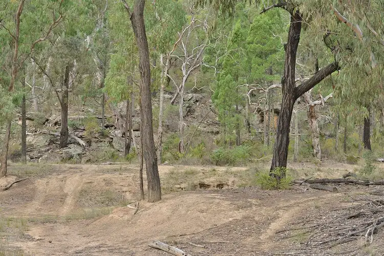Seventh view of Homely rural property listing, 285 SALAKS Road, Coonabarabran NSW 2357