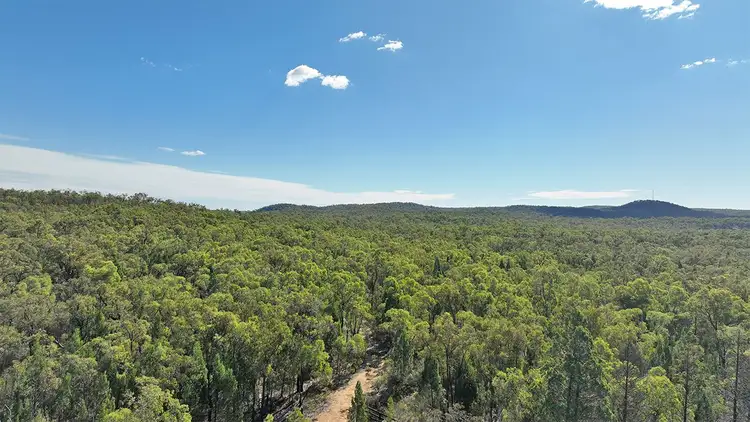 Third view of Homely rural property listing, 2317 NEWELL Highway, Coonabarabran NSW 2357