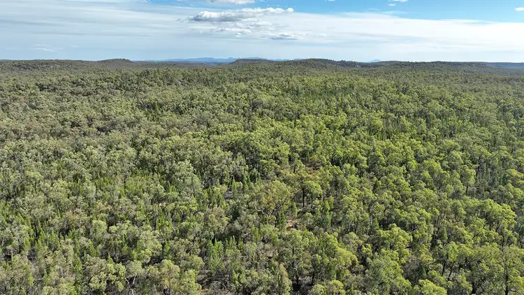 Fifth view of Homely rural property listing, 2317 NEWELL Highway, Coonabarabran NSW 2357