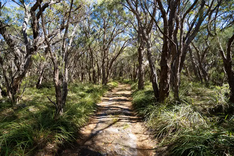 Third view of Homely land listing, 320 Bon Accord Road, Lower King WA 6330