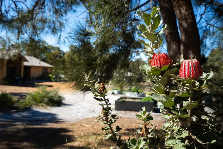 Fourth view of Homely land listing, 320 Bon Accord Road, Lower King WA 6330