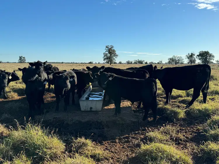 Third view of Homely rural property listing, Sandhurst/3769 Quambone Road, Coonamble NSW 2829