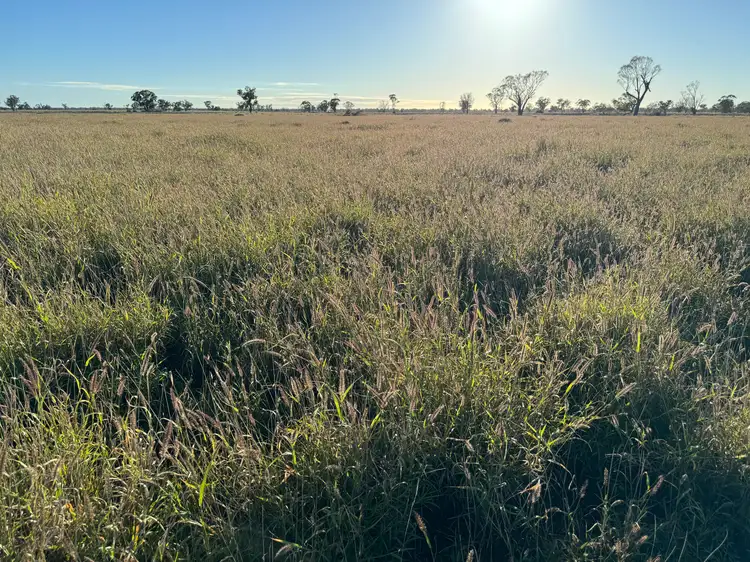 Fourth view of Homely rural property listing, Sandhurst/3769 Quambone Road, Coonamble NSW 2829