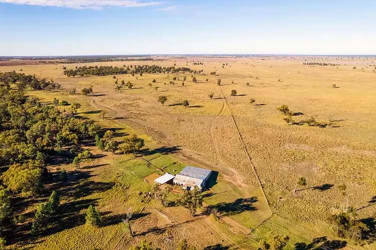 Seventh view of Homely rural property listing, Sandhurst/3769 Quambone Road, Coonamble NSW 2829