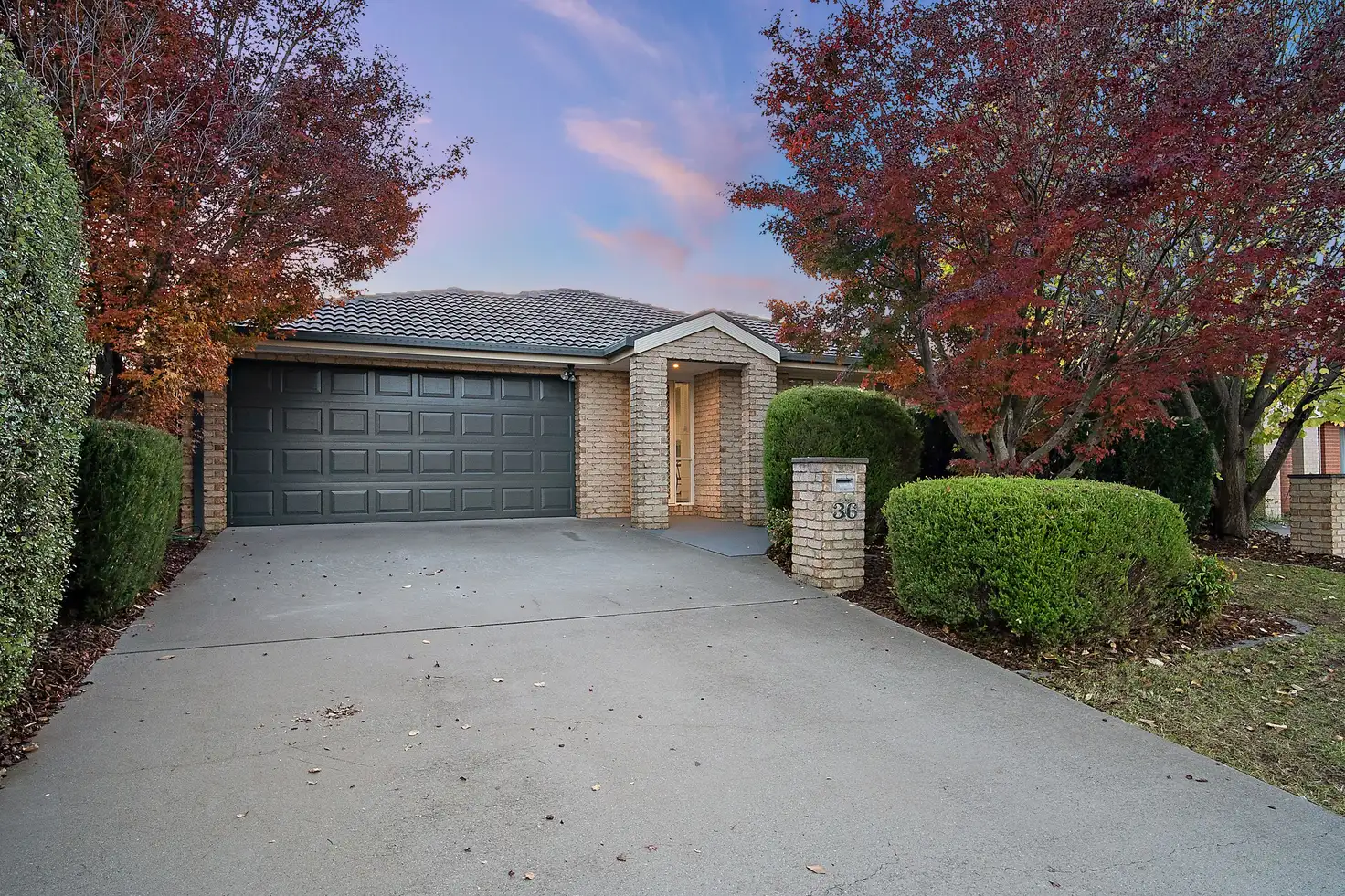 Main view of Homely house listing, 36 Petersilka Street, Gungahlin ACT 2912