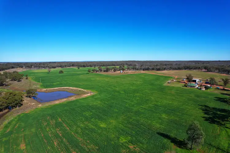 Main view of Homely rural property listing, 'Springfield' 345 Albert Road, Tottenham NSW 2873