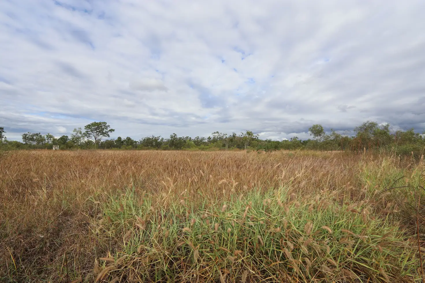 Main view of Homely rural property listing, 0 Arthur Street, Westwood QLD 4702