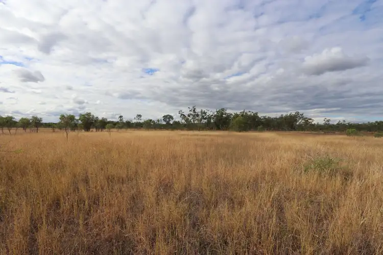 Fifth view of Homely rural property listing, 0 Arthur Street, Westwood QLD 4702