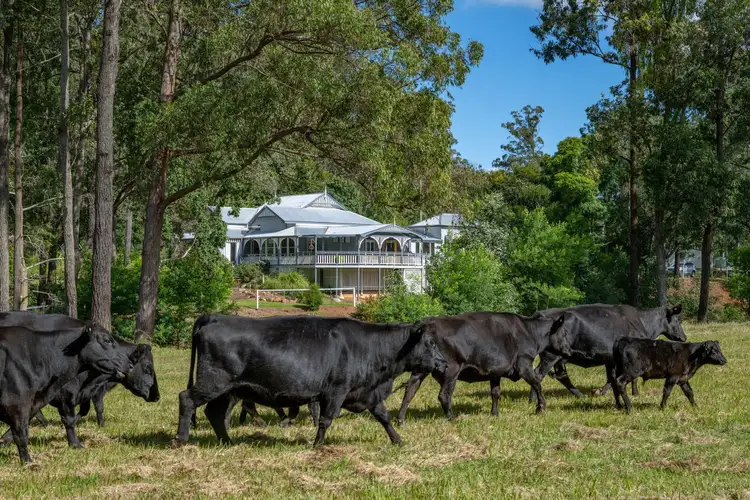 Third view of Homely rural property listing, 227 Cherry Creek Road, Cherry Creek QLD 4314