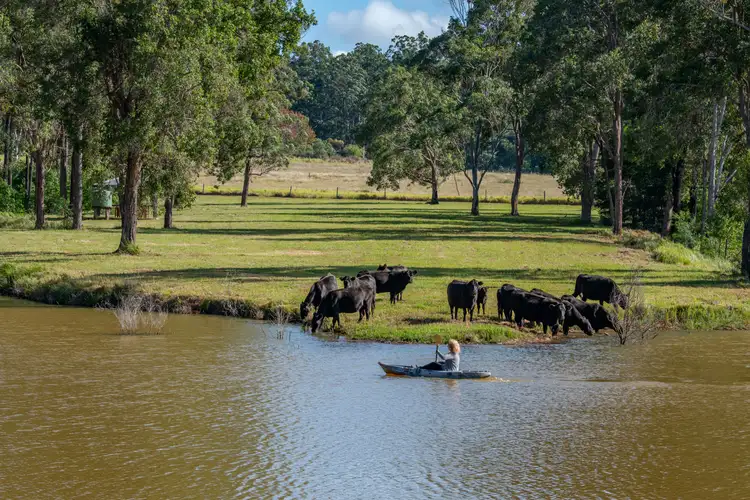 Fourth view of Homely rural property listing, 227 Cherry Creek Road, Cherry Creek QLD 4314