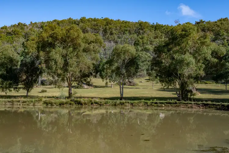 Fifth view of Homely rural property listing, 113 Wrens Lane, Wyberba QLD 4382