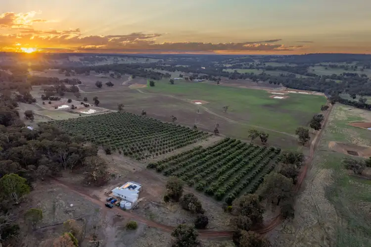 Third view of Homely rural property listing, 3349 Boyup Brook-Arthur Road, Dinninup WA 6244