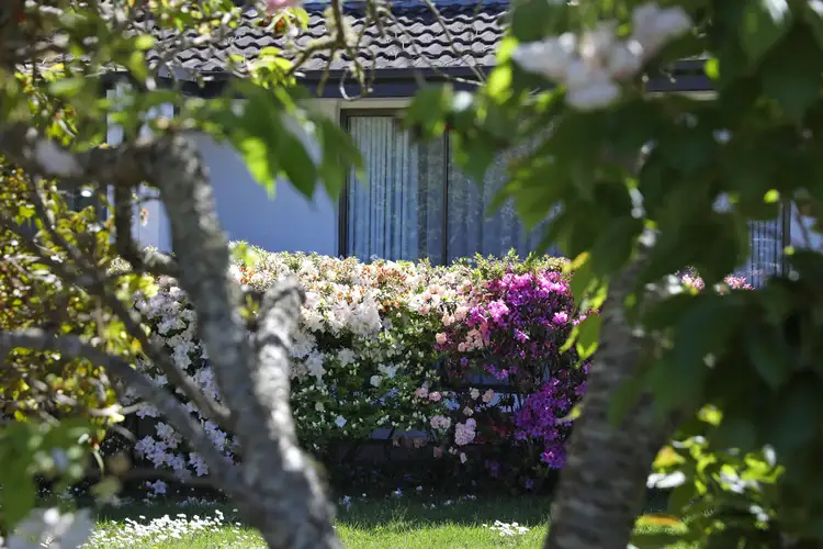Third view of Homely house listing, 2-4 Swan Street, Robertson NSW 2577