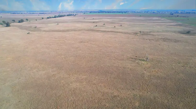 Fifth view of Homely rural property listing, Part "Quamby" 605 Mccaskies Lane, Girral NSW 2669