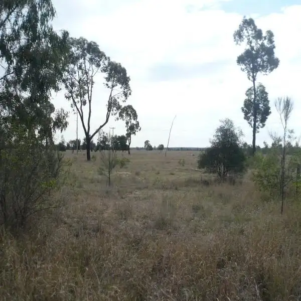 Third view of Homely land listing, 1325 Tara Kogan Road, Tara QLD 4421