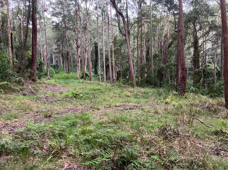 Second view of Homely rural property listing, 497 Toepfers Road, Wyee NSW 2259