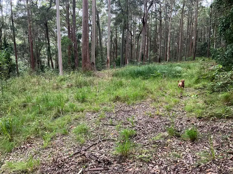 Third view of Homely rural property listing, 497 Toepfers Road, Wyee NSW 2259