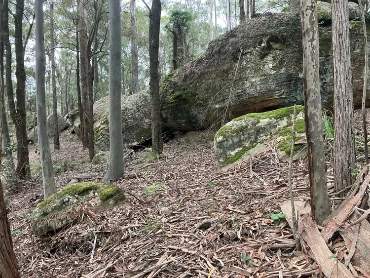 Fifth view of Homely rural property listing, 497 Toepfers Road, Wyee NSW 2259