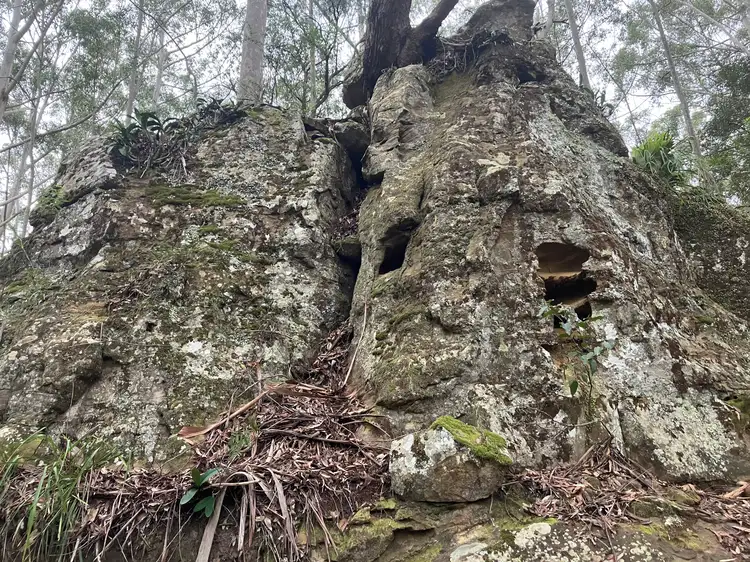 Sixth view of Homely rural property listing, 497 Toepfers Road, Wyee NSW 2259