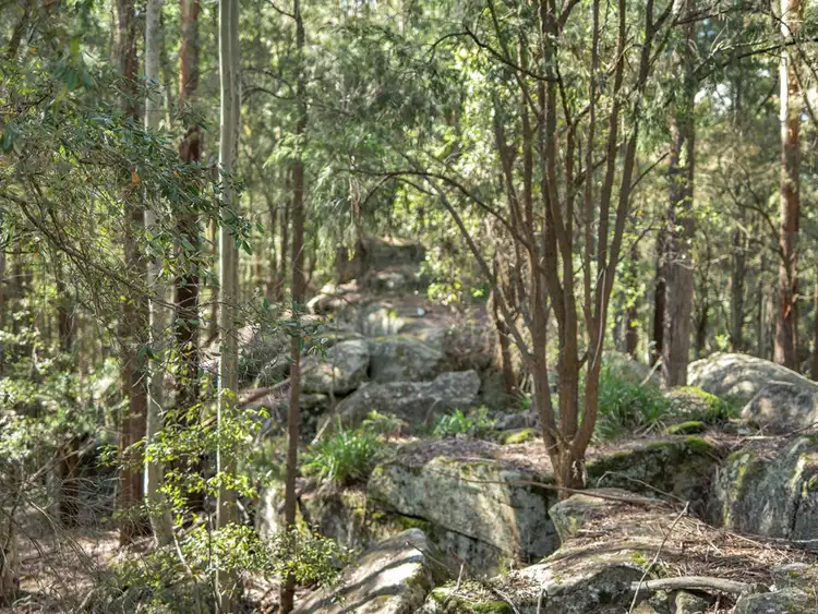 Seventh view of Homely rural property listing, 497 Toepfers Road, Wyee NSW 2259