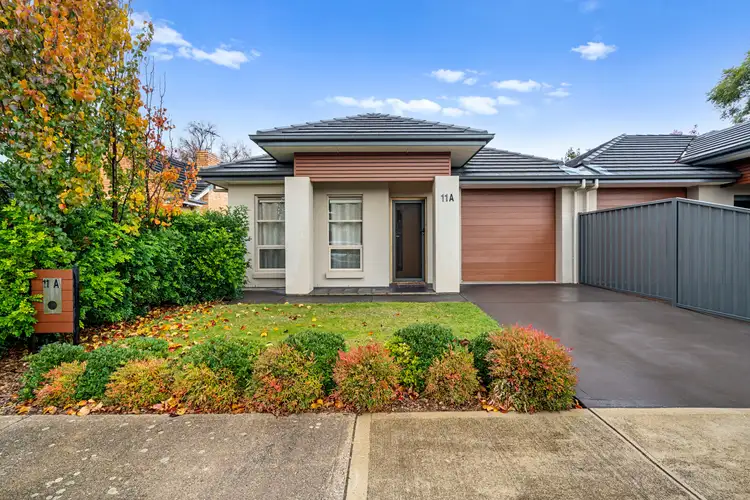 11A Brinkworth Street, South Plympton SA 5038