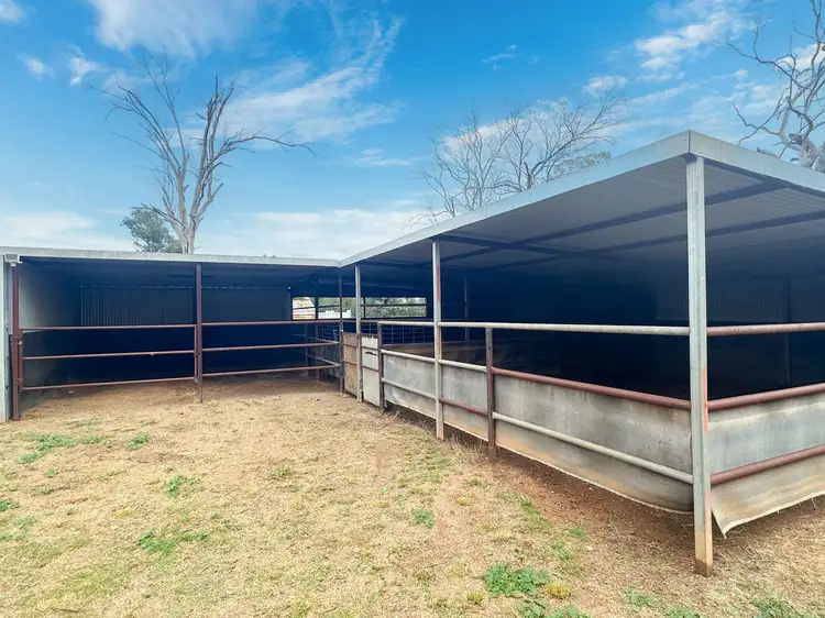 Fourth view of Homely house listing, 18 Long Street, Trundle NSW 2875