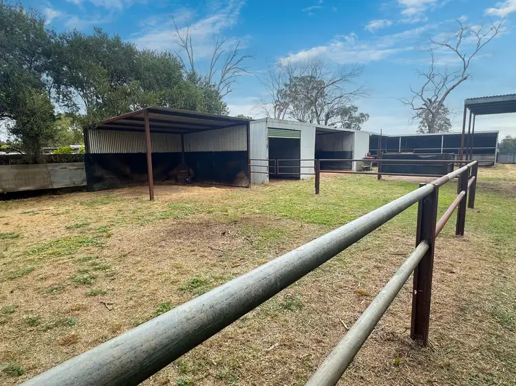 Fifth view of Homely house listing, 18 Long Street, Trundle NSW 2875