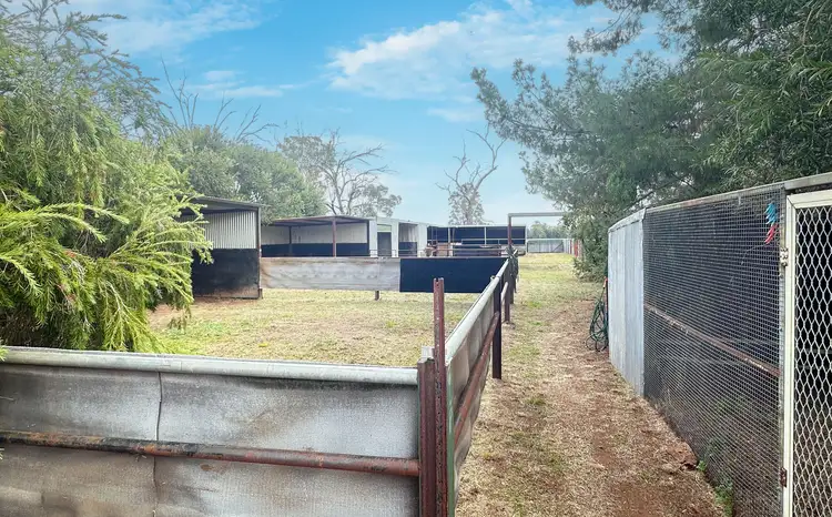 Sixth view of Homely house listing, 18 Long Street, Trundle NSW 2875