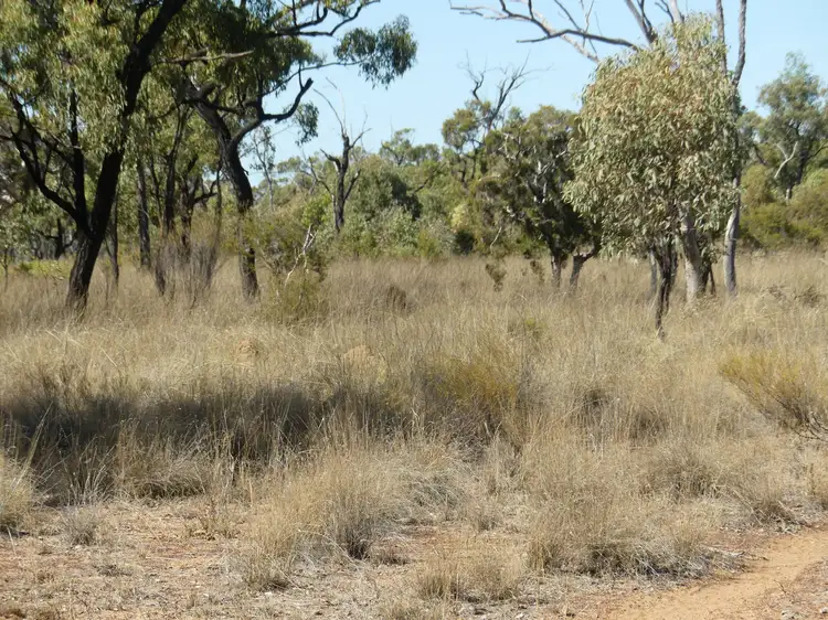 Second view of Homely rural property listing, 6743 Jericho-Dunrobin Road, Jericho QLD 4728