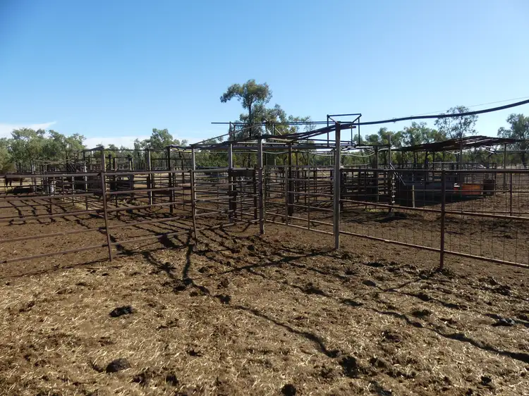 Fourth view of Homely rural property listing, 6743 Jericho-Dunrobin Road, Jericho QLD 4728