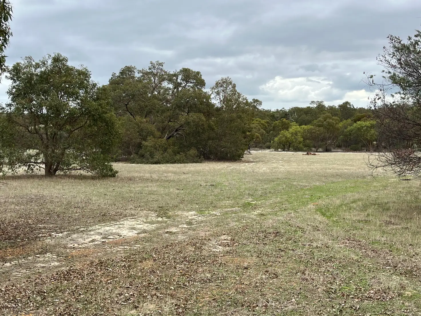 Main view of Homely land listing, LOT 521 Windemere Way, Bindoon WA 6502