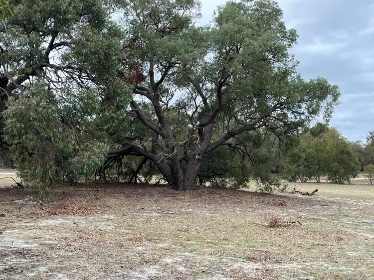 Third view of Homely land listing, LOT 521 Windemere Way, Bindoon WA 6502