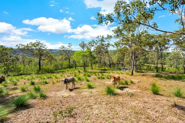 Sixth view of Homely house listing, 2641 Kennedy Highway, Koah QLD 4881