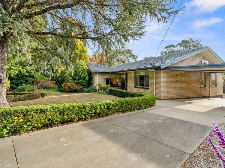 Second view of Homely house listing, 135 Standish Street, Myrtleford VIC 3737