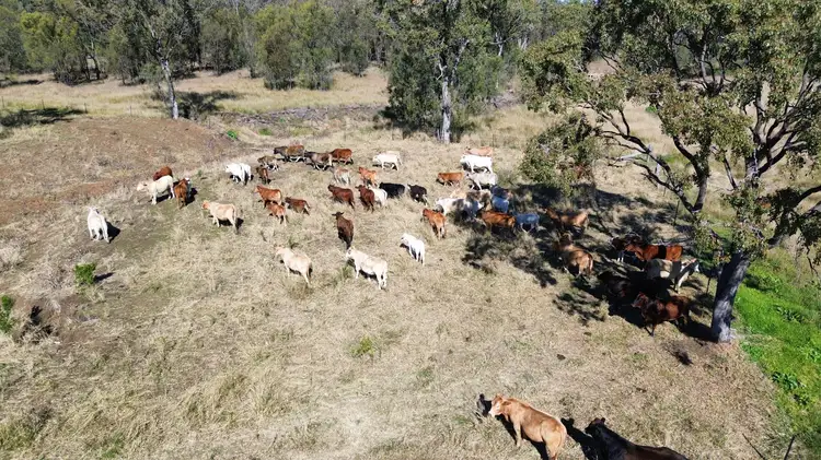 Second view of Homely rural property listing, Lot 1 & 3 Kampfs Road, Goombungee QLD 4354