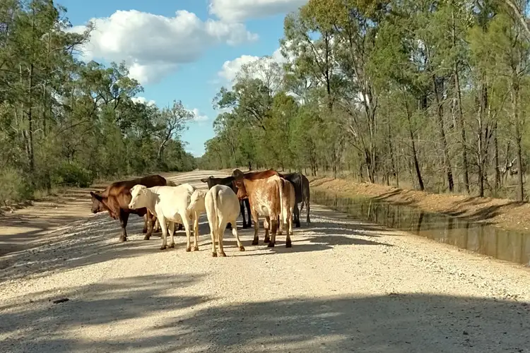 Lots 1 & N Yagaburne-Boondandilla Road, Boondandilla QLD 4406